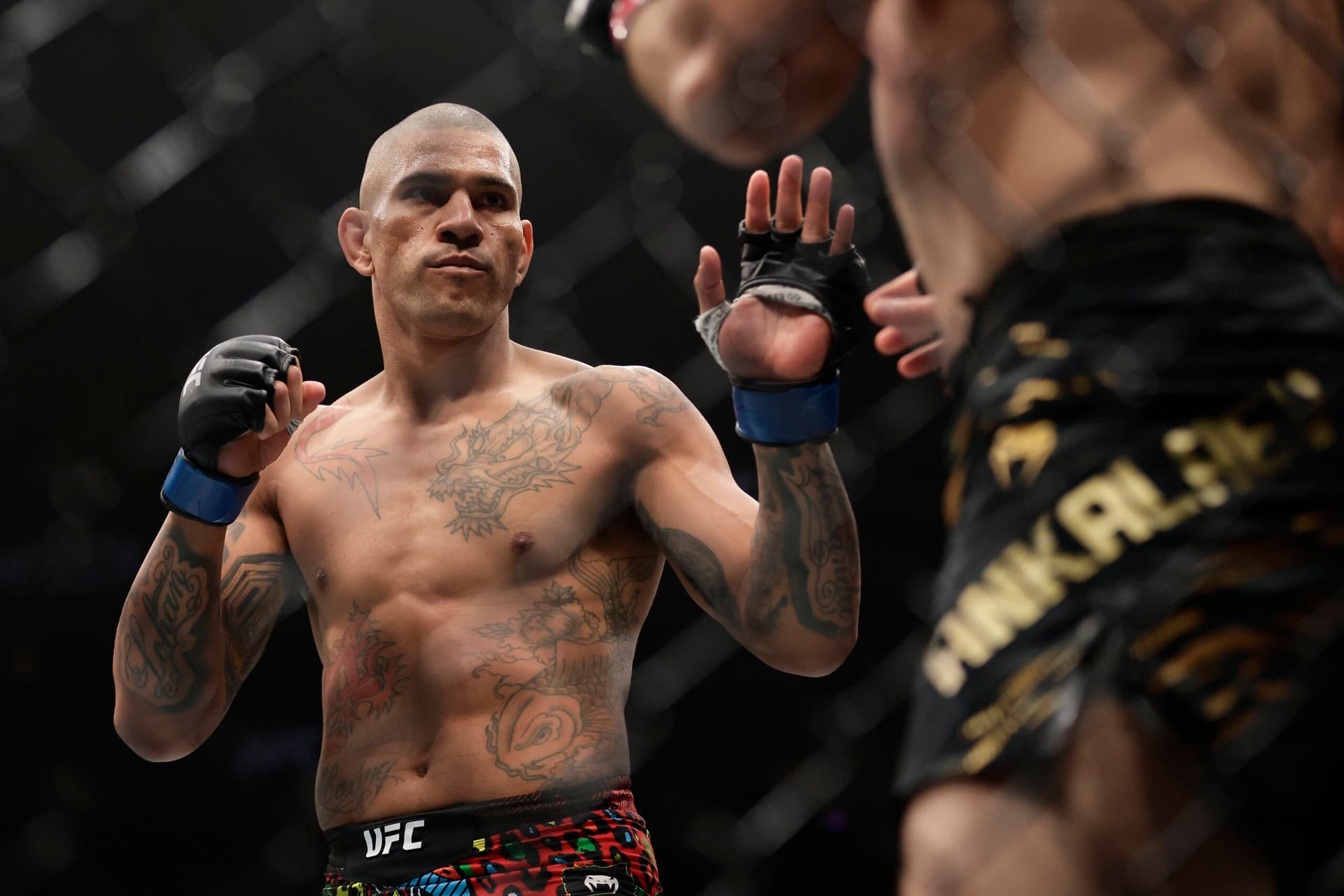 Junior dos Santos says Alex Pereira’s White House debut ends one way for Ciryl Gane