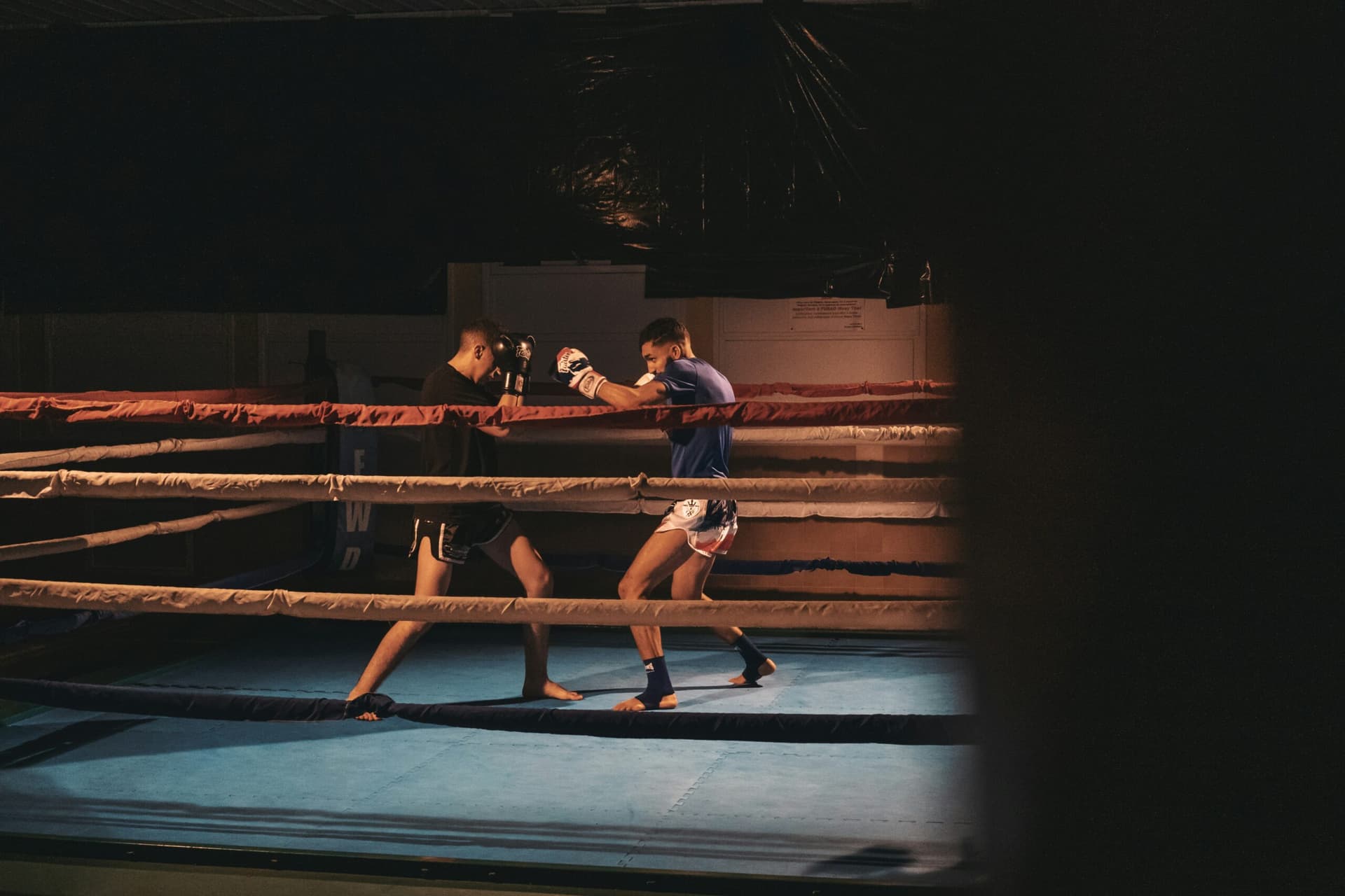 Hardest Hitting Boxers of All Time: Legends of Knockout Power