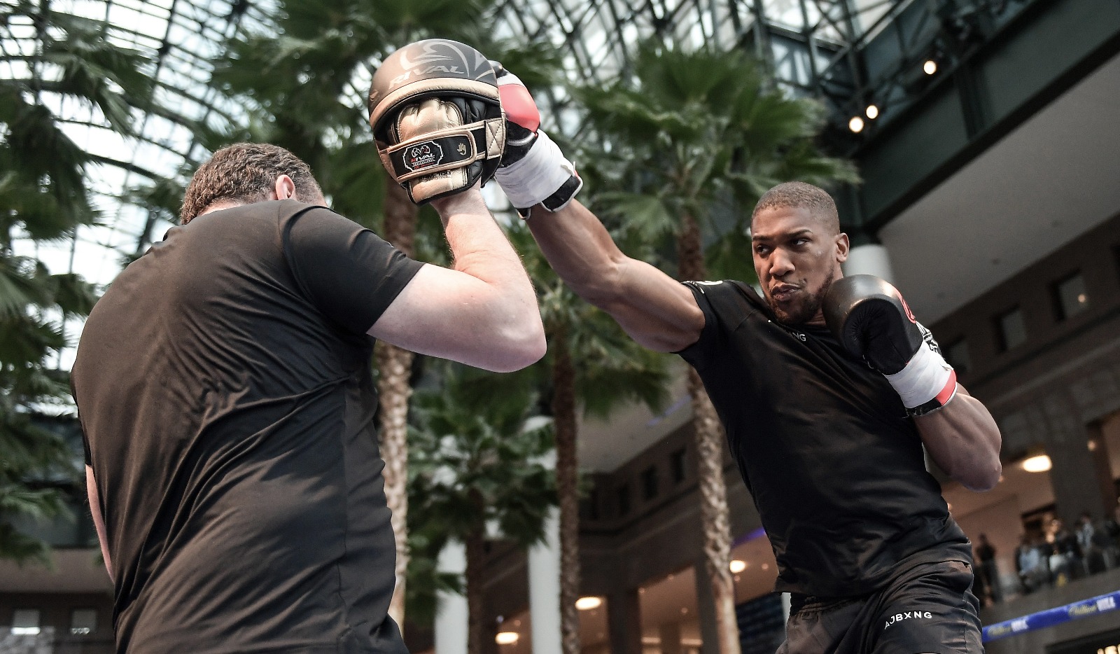 Joshua Heads Stateside To Tackle 'The Destroyer'